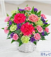 �ڤ䤫�ʥ����