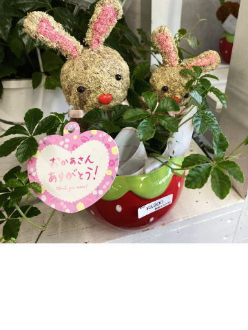 寄せ鉢