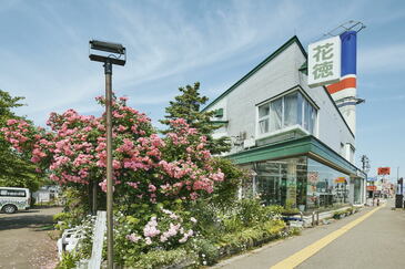 本店